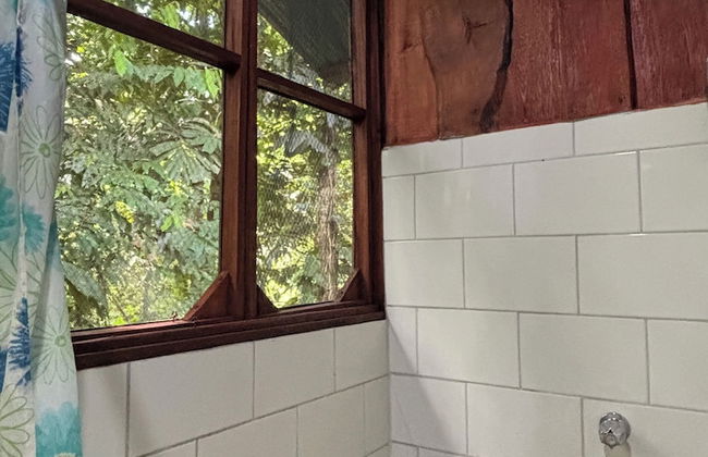 Citronela Lodge Corcovado - Foto 17