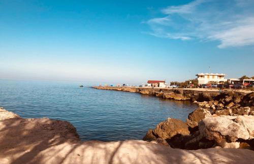 Meraviglioso - Foto 21