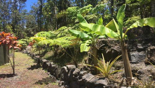 Mauna Nani - Foto 3, Garden