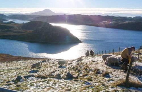 Skipaflotta - Foto 17