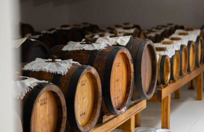 Pianderna Agriwellness - Photo 61