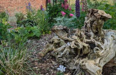 New traditional village house - Foto 30