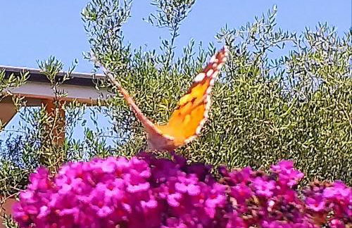 Casa Enrica - Foto 22