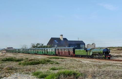 Sea Shells - Foto 37