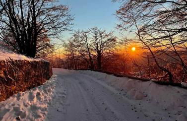 Attico Stella Alpina - Foto 41