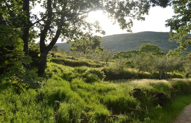 Casa Rural Las Fuentes de Ágata - Foto 25