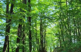 apartament przy plaży w Redłowie - Photo 23