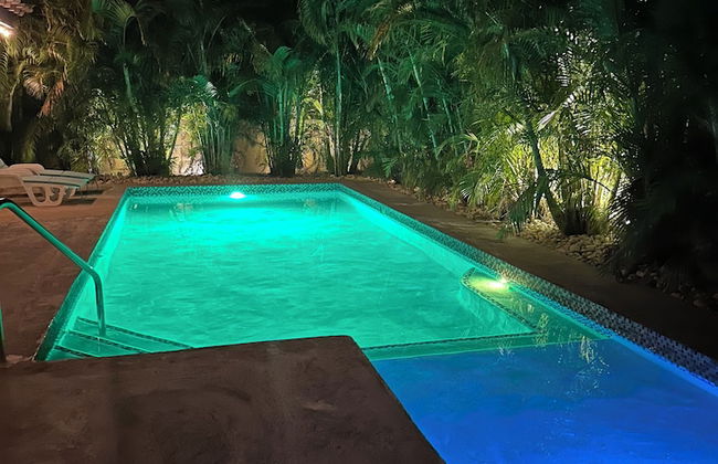 Palm BlossomJA Manor - Foto 18