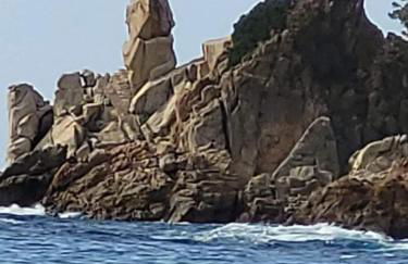 Apartment with garden and sea view Santa Cristina Blanes - Foto 71