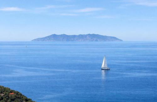 La Cartomante di Bonaparte - Foto 34