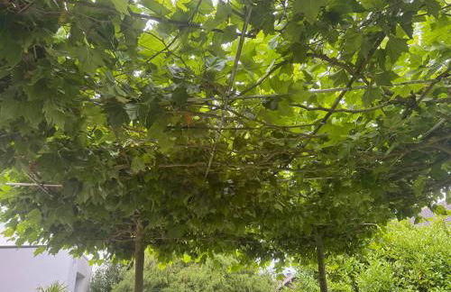 Villa Kaja by Maggie mit Pool, Kamin und traumhaftem Blick auf den Möhnesee - Foto 80