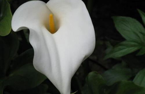 Molino del Caracol - Photo 53