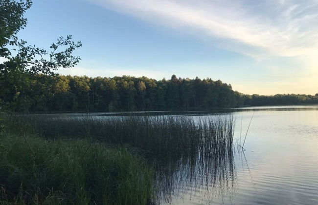 Old Zerwelin Forestry Company - Foto 11