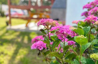 U Tomasza - Photo 35