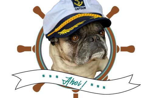 Ferienwohnung Käpt'n Pugs Kajüte auf Rügen - Foto 4