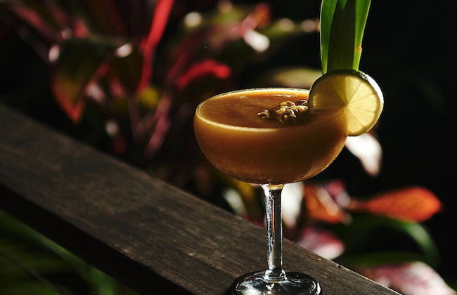 Daintree Ecolodge - Photo 37