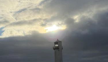 Paws a while - Photo 2