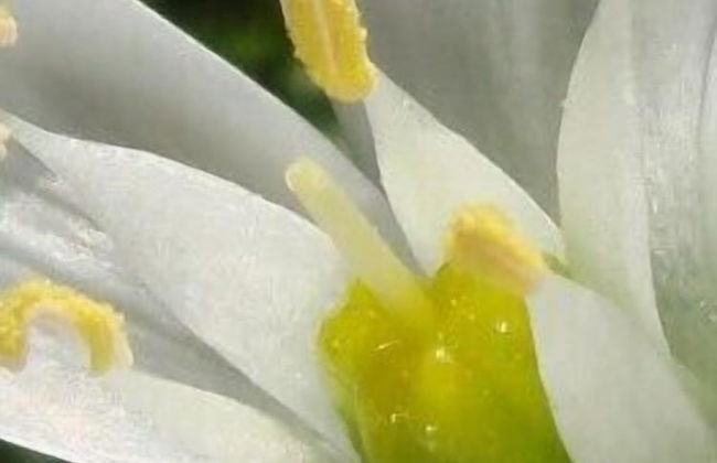 Bulichella - Foto 34