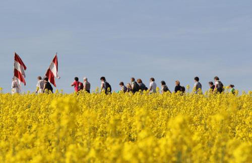 Ökonomiehof - Foto 47