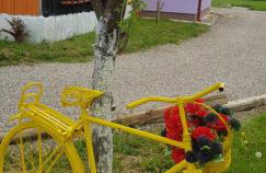 Propolis house - Foto 45