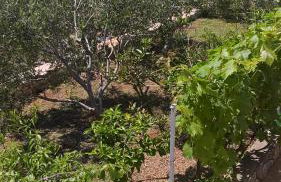 Apartments Krušvina - Foto 53