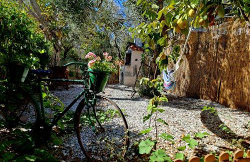 Sol's Place - Photo 17