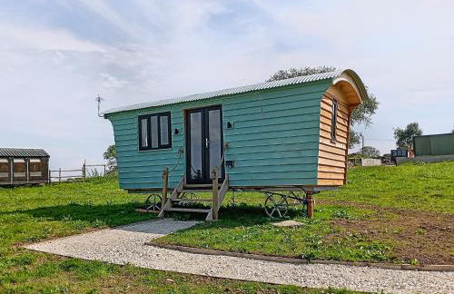 The Golden Fleece - Photo 9