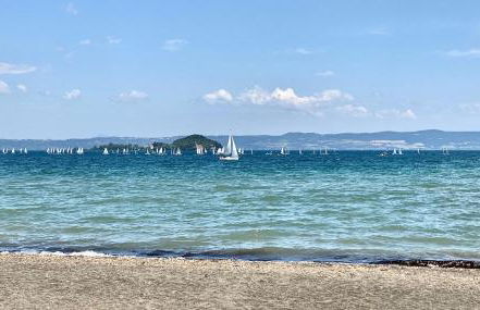 Serendipity Lago di Bolsena - Foto 24