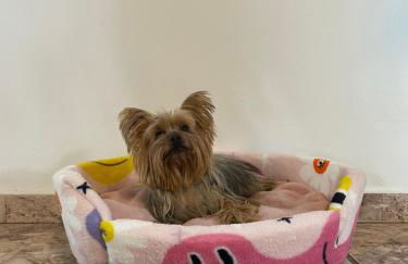 Casa Jabuticaba a 5 min dos Thermas e Hot Beach - Foto 24