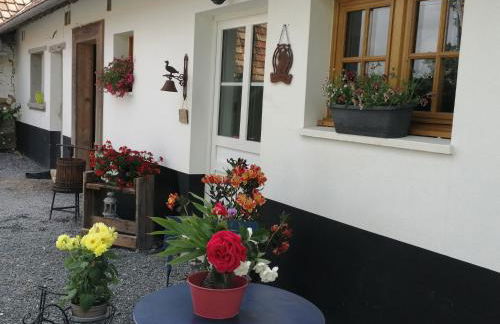 La ferme de Mademoiselle Jeanne - Foto 1