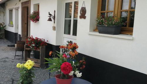 La ferme de Mademoiselle Jeanne - Foto 1