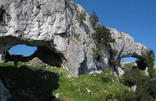 Playasonabia - Photo 33