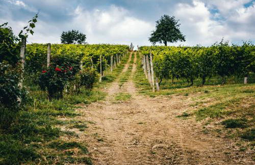 Agriturismo Dacapo - Foto 17