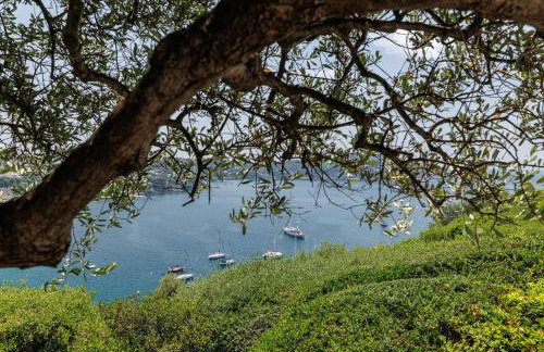 MY CASA - VILLEFRANCHE RESTANQUES - Panoramic sea view 2 bedrooms Swimming pool - Foto 44