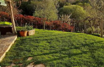 Casa da Viña - Ribeira Sacra - Foto 34