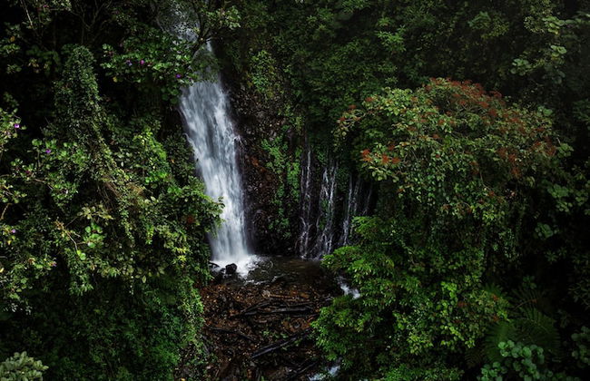 El Tigre Hideaway - Photo 48