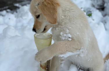 Residence Margreth - Foto 75