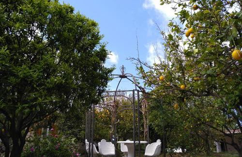 Residence Limoneto Ischia - Foto 35