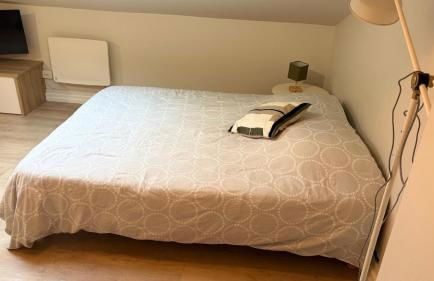 charmant studio tout confort à 50m de la gare - Foto 9