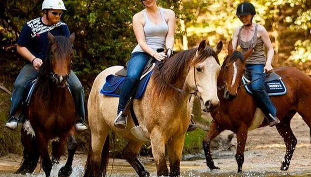 Ruta ecuestre por la península de Bodrum