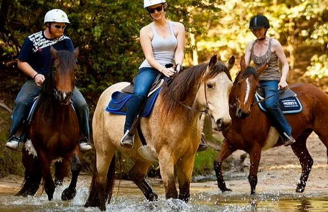 Horseback Riding in Bodrum - Foto 1