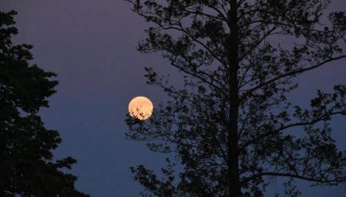 Siedlisko Szwałk - Foto 5