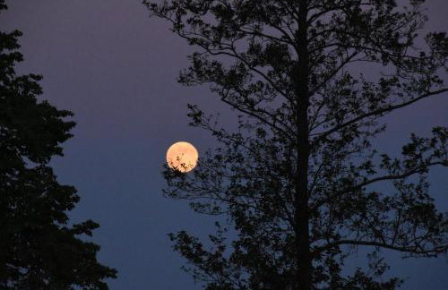 Siedlisko Szwałk - Foto 5