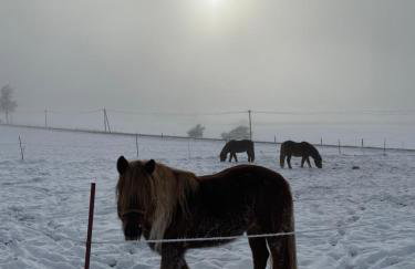 FÜNF ROSEN Boutique Apartment - Bio-Ferienwohnung am Staffelsee im Blauen Land - Foto 9
