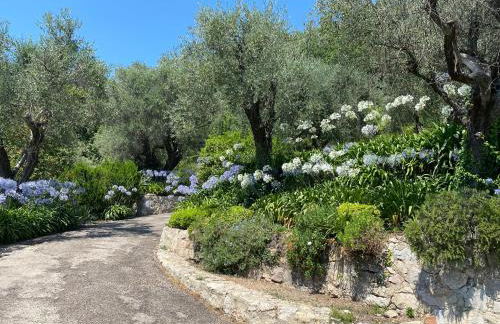 Le Mas Sainte Thérèse - Foto 6