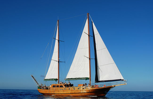 Croisière côtière sur la goélette Aphrodite avec déjeuner - Photo 1