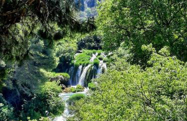 Rural Villa Olive Krka- 4 bedrooms, 3 bathrooms, private pool, park Krka 10 min - Foto 54