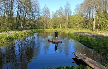 Siedlisko Brzozowe - Foto 34