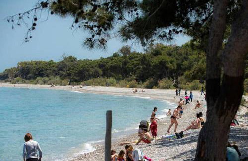 Pine Breeze Apartment - Foto 15