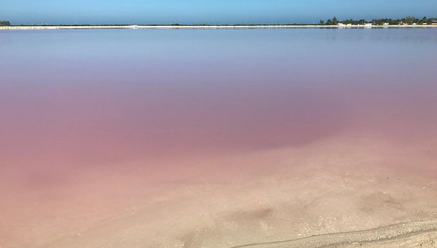 LAS COLORADAS & RIO LAGARTOS de la Riviera Maya et de Cancun (Privé) - Photo 4